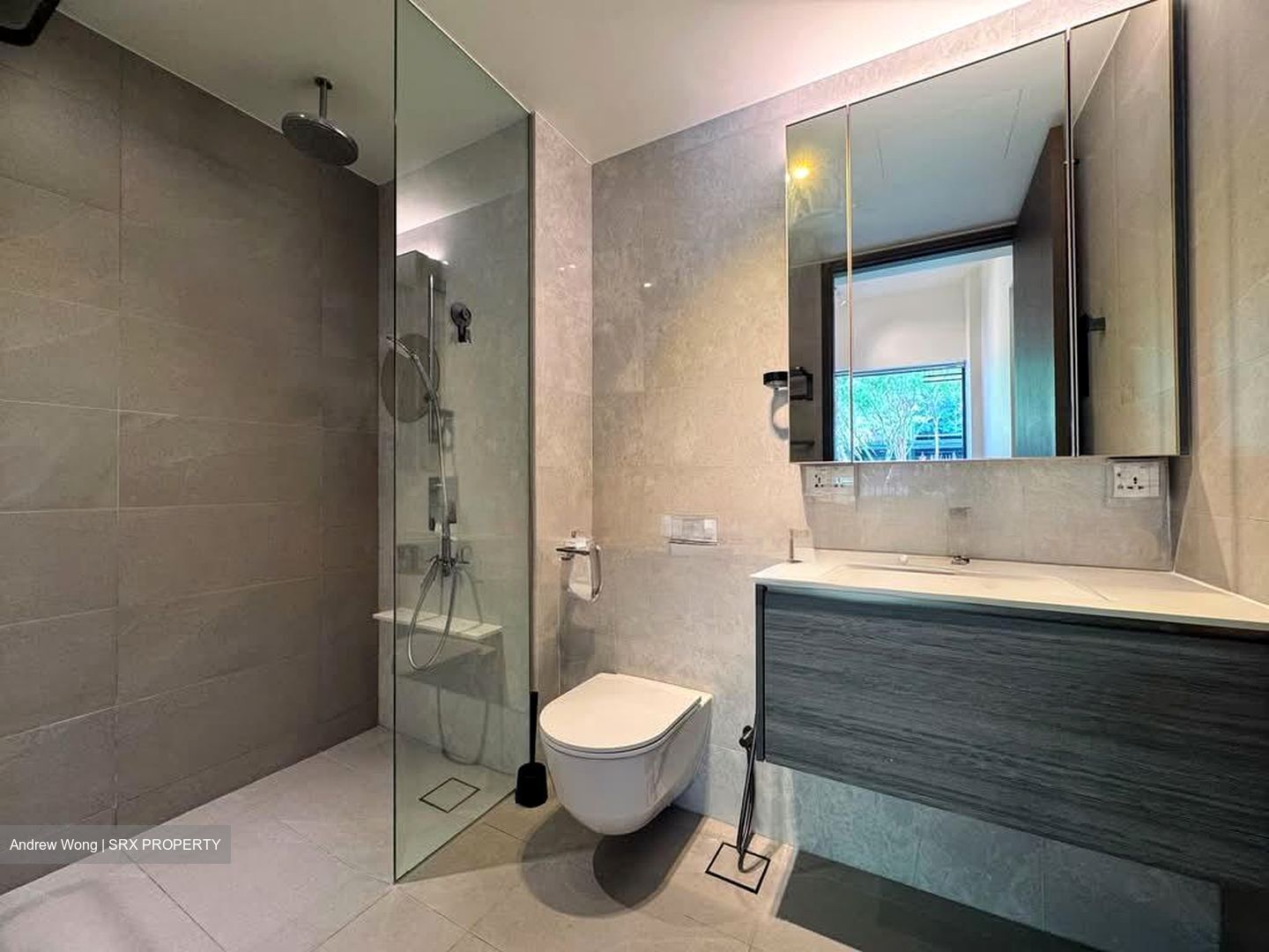 Royalgreen (D10), Condominium #575148881